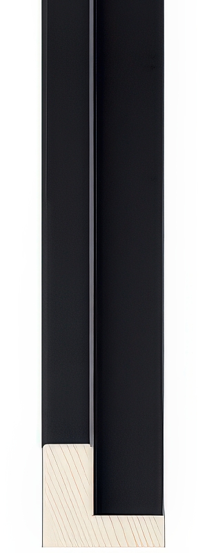 306-29 Custom Frame Print