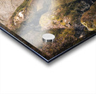 Fairy Glen Acrylic print