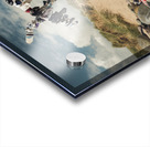 Dobbys Grave Acrylic print