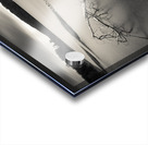 Loch Avich Branch Acrylic print