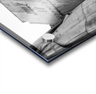 Statue of Liberty Tablet Acrylic print