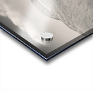 Glen Shiel Tree Acrylic print