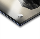 Dawn Flight Acrylic print