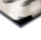 White Calla Lily Impression Acrylique