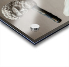 Hercules and the Centaur Nessus Acrylic print