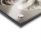 Menelaus Supporting the Body of Patroclus Acrylic print