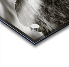 Three Sisters Acrylic print