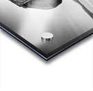 Whalebone Acrylic print