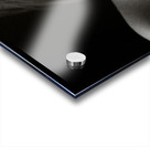 Nude Study  No4 Acrylic print