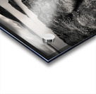 Loch Ewe Acrylic print