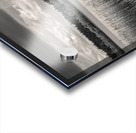 Lake of Menteith Acrylic print