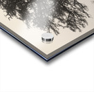 Exmoor Tree Acrylic print