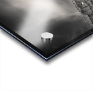 Inside the Roman Colosseum Acrylic print