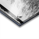 Uist Reeds Acrylic print