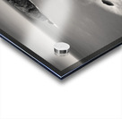 Llangrannog Coastline Acrylic print