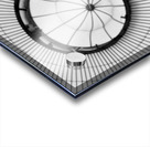 Fern and Dome Acrylic print