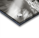 Pier End Acrylic print