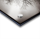 Winter Tree Acrylic print