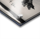 Limbless on Loch Rannoch Acrylic print