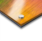 Autumn Pastels Acrylic print