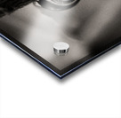 Woodland Study 11 Impression Acrylique