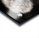 Woodland Study 5 Acrylic print