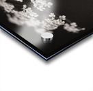 Woodland Study 2 Acrylic print