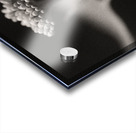 Woodland Study 4 Impression Acrylique