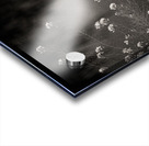 Woodland Study 12 Acrylic print