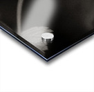 Woodland Study 10 Acrylic print