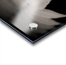 Woodland Study 8 Impression Acrylique