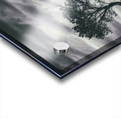 Assynt Tree Impression Acrylique