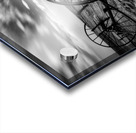 Modrudalur Acrylic print