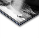 Wild Icelandic Horses Acrylic print