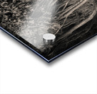 Incense Cedar Acrylic print