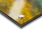 Autumn Shimmer Acrylic print