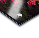 Fire Tree Acrylic print