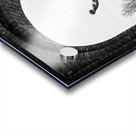 Republic of Councils Monument Acrylic print