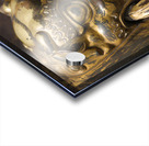 Cauldron Lion Acrylic print