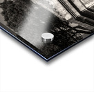 Farnese Aviary Acrylic print