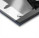 Corn Cap Acrylic print