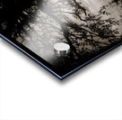 As the Day Fades Acrylic print