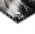 Loch Achtriochtan Reflection Acrylic print