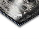 Angkor Face Acrylic print