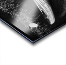 Loch Awe Boat Acrylic print