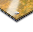 Whispering Leaves Acrylic print