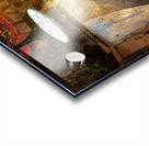 Window Girl with Fish Acrylic print