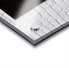 Judas Treason Acrylic print