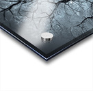 Winter in Central Park Acrylic print