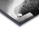 Kilchurn Castle Walls Acrylic print